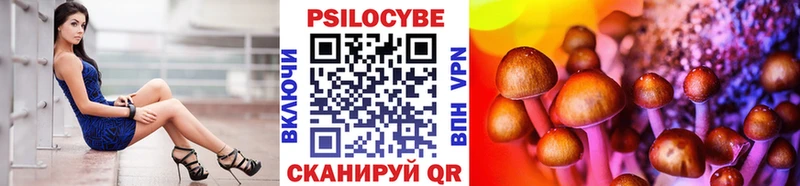 Псилоцибиновые грибы Cubensis  Салехард 